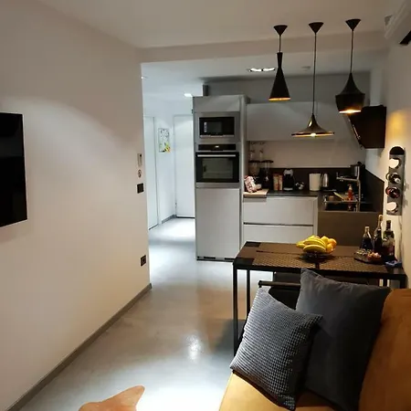 Vip, With Free Garage Parking Apartament Pula