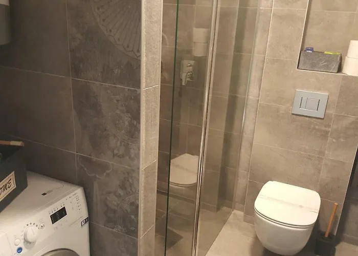 Vip, With Free Garage Parking *