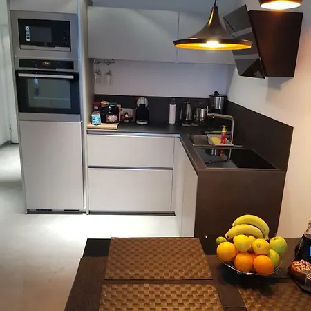 Vip, With Free Garage Parking Apartment *